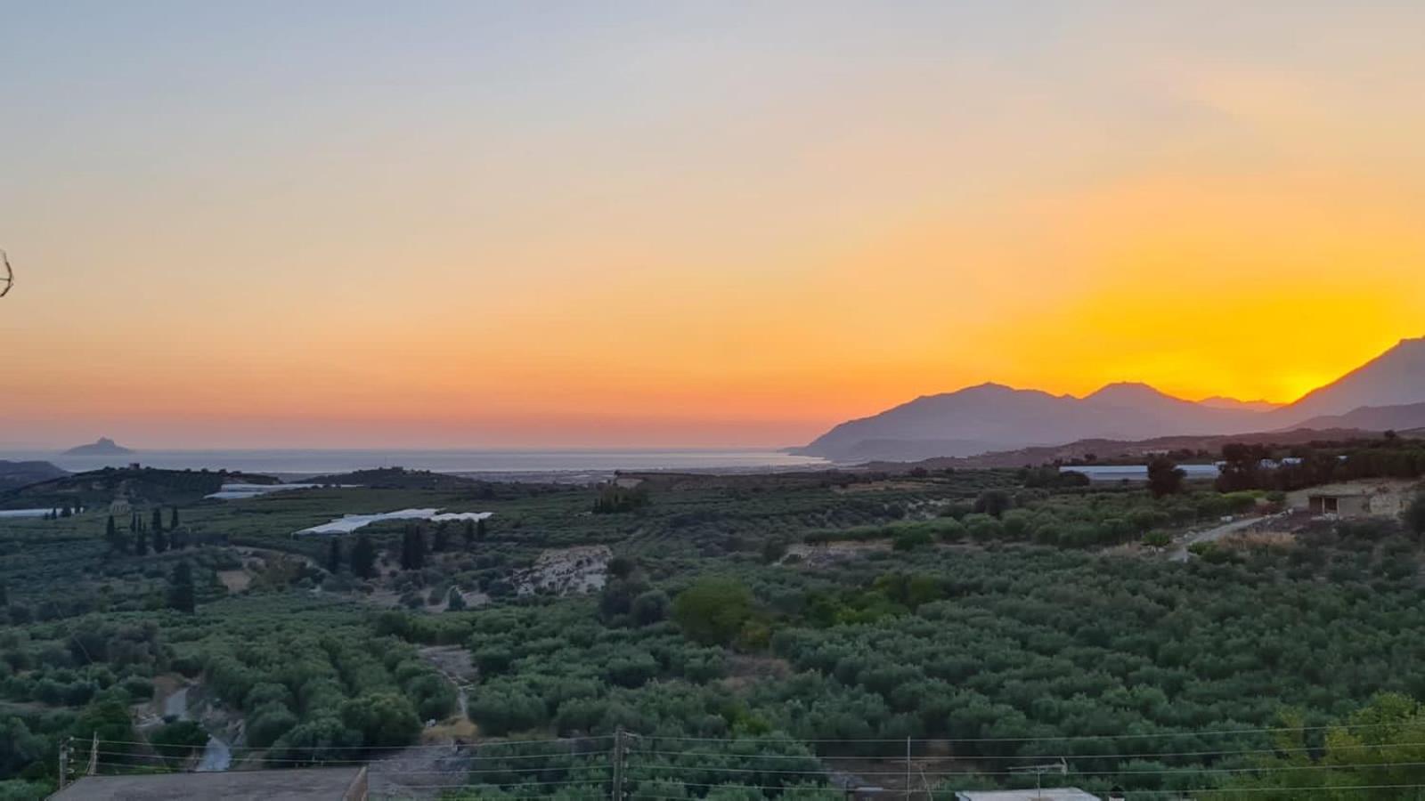 Villa Kamelia-Renovated Old House-South Crete Galiá Buitenkant foto