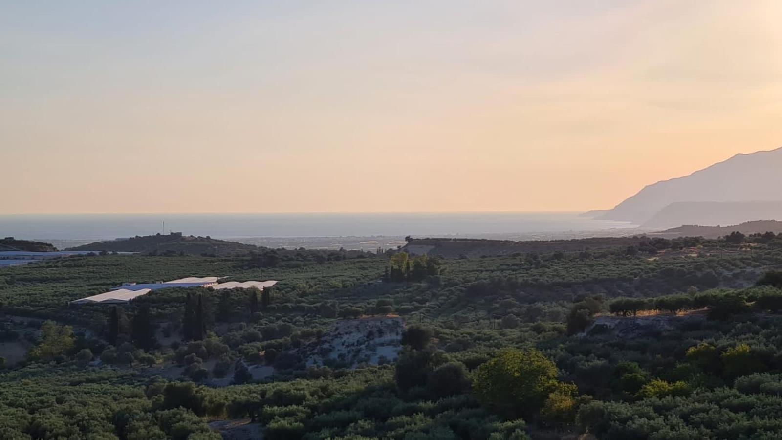 Villa Kamelia-Renovated Old House-South Crete Galiá Buitenkant foto